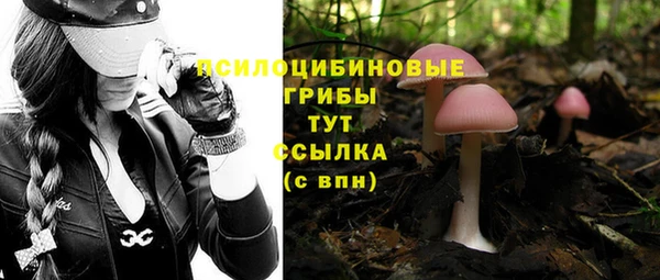 прущая мука Верхний Тагил