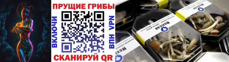 Псилоцибиновые грибы GOLDEN TEACHER  Новоржев 